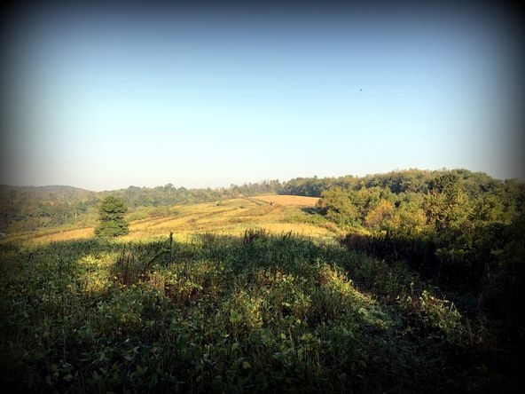 ±87 Acres Land: Route 519, North Strabane, PA 15317